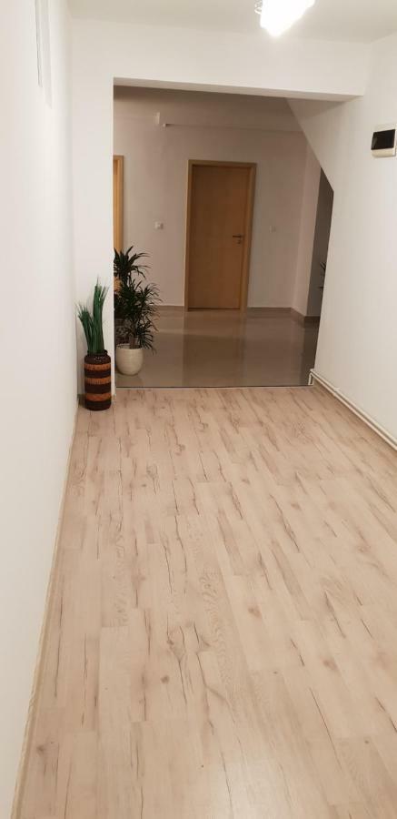 Casa Lions Timişoara Exterior foto